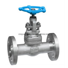 Forged F304L Dn25 Class300 Gate Valve